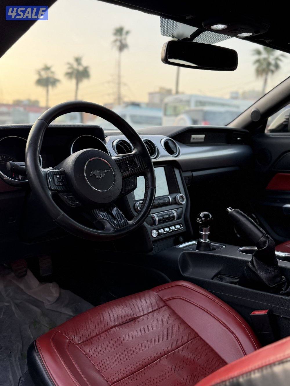 موستنج قير عادي4