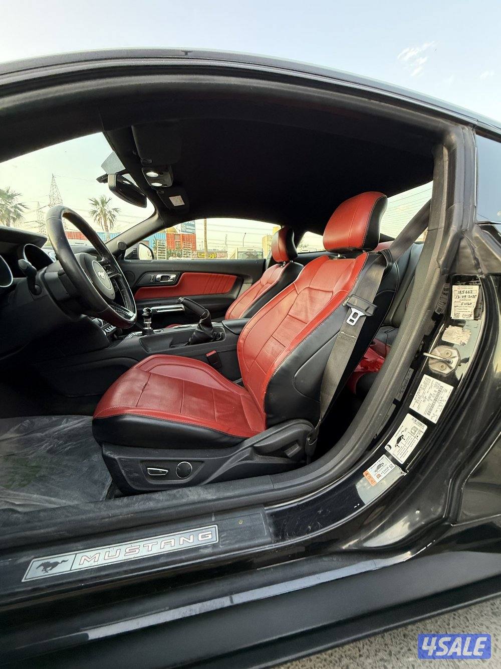 موستنج قير عادي5