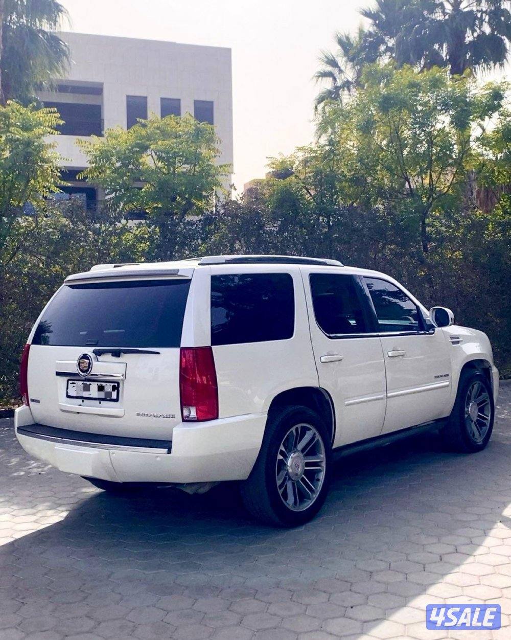 كادليك اسكاليد الغانم ٢٠١٤ اللي يدور النظيف1