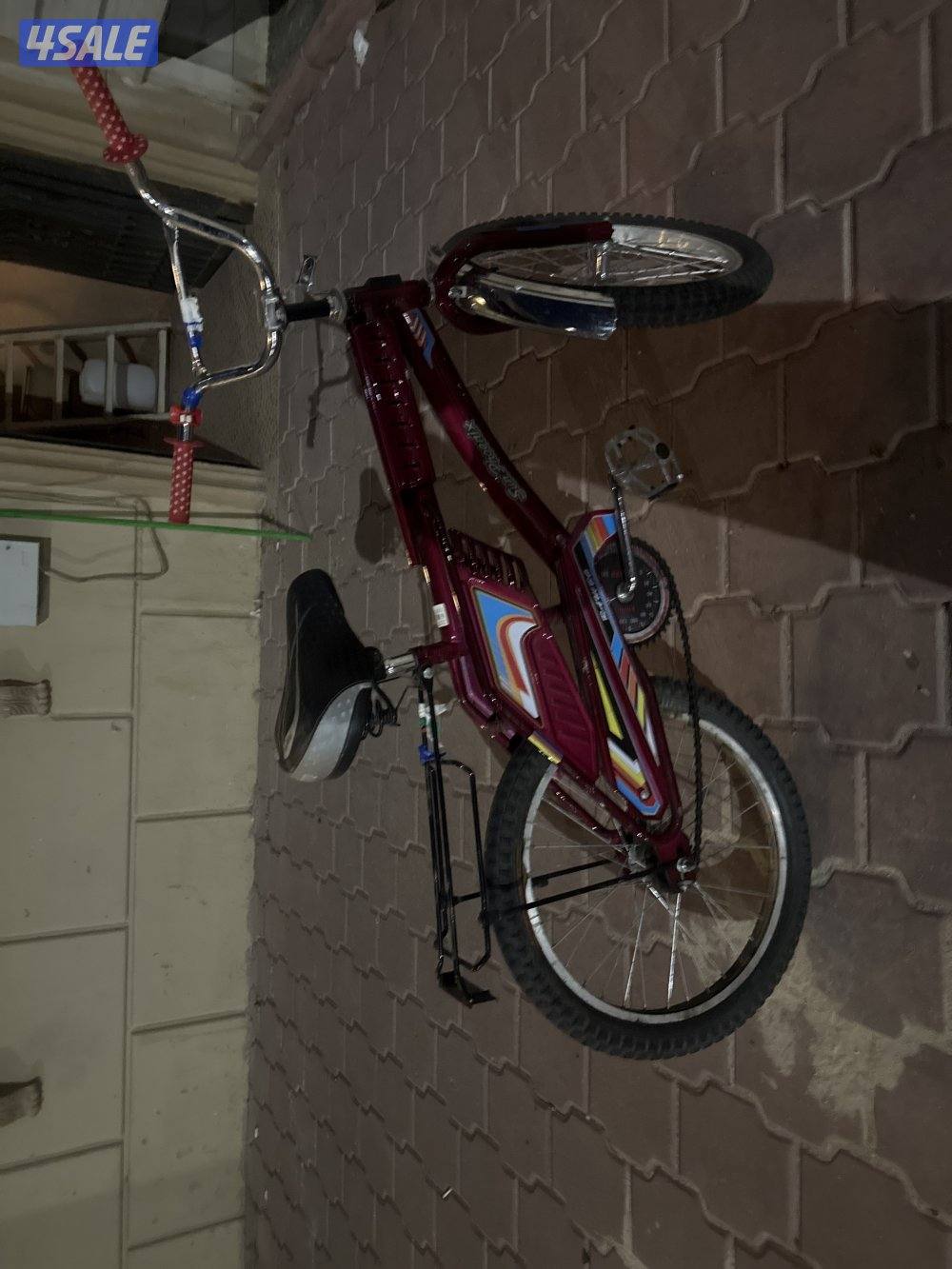 قاري. رامبو نظيف معاه ليت هديه2