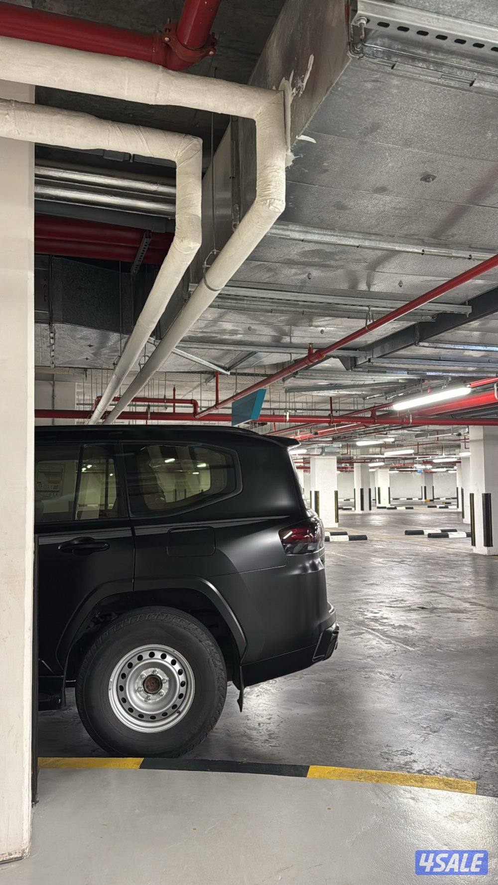 شواهين ورنقات هلل 17 نظاف حيلل1