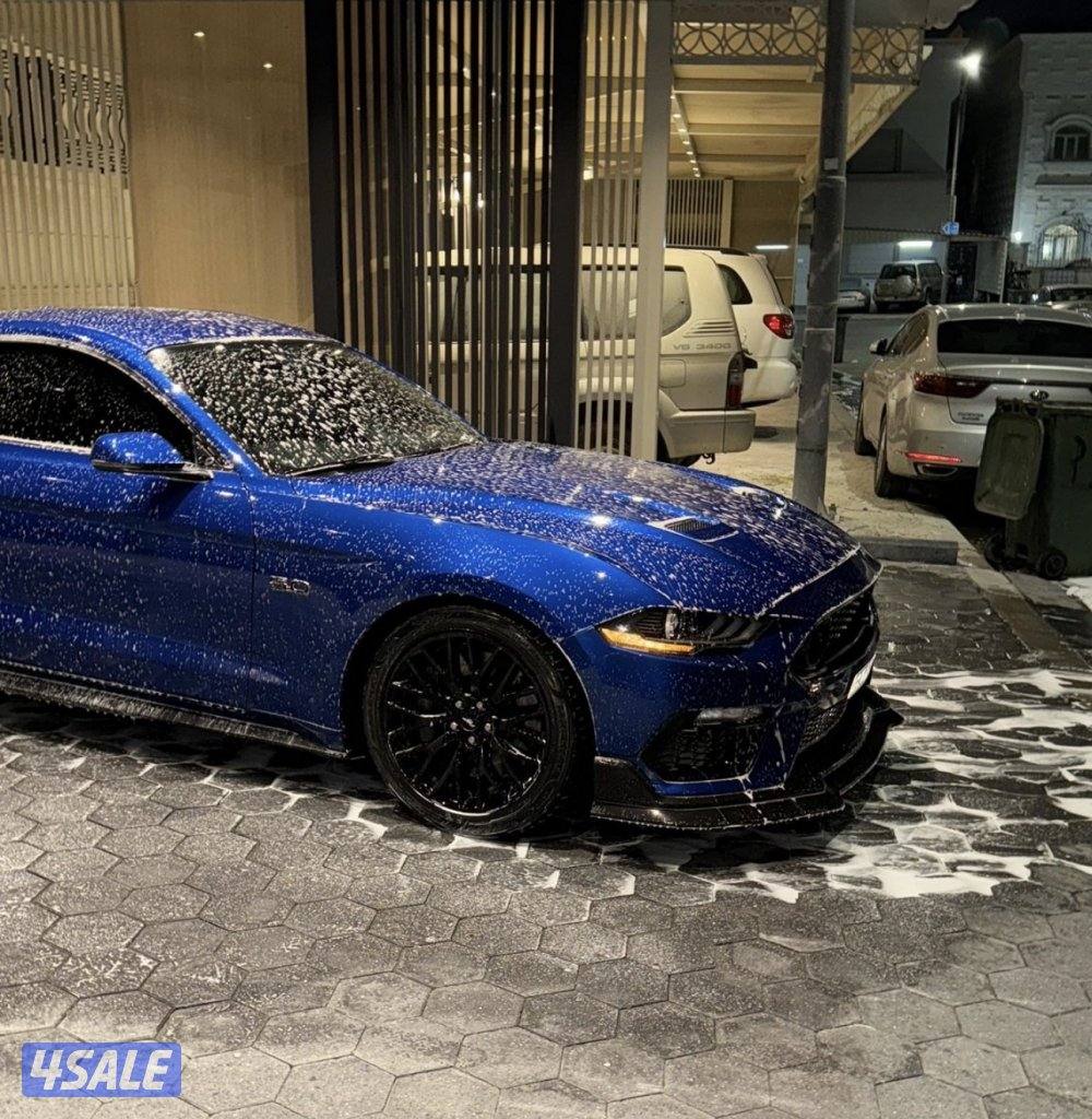 MUSTANG 2018 PERFORMANCE PACK1