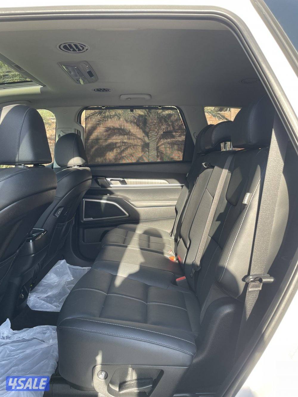 كيا تيلورايد 2023 صبغ الوكالة11