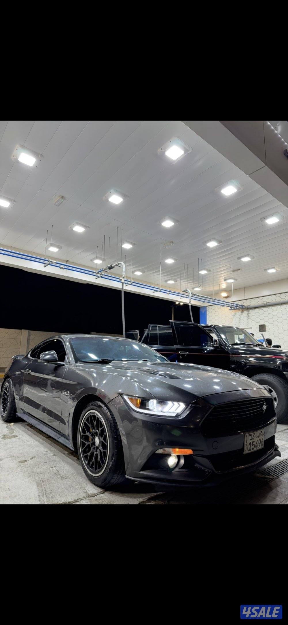 موستنق 2015 / 5.02