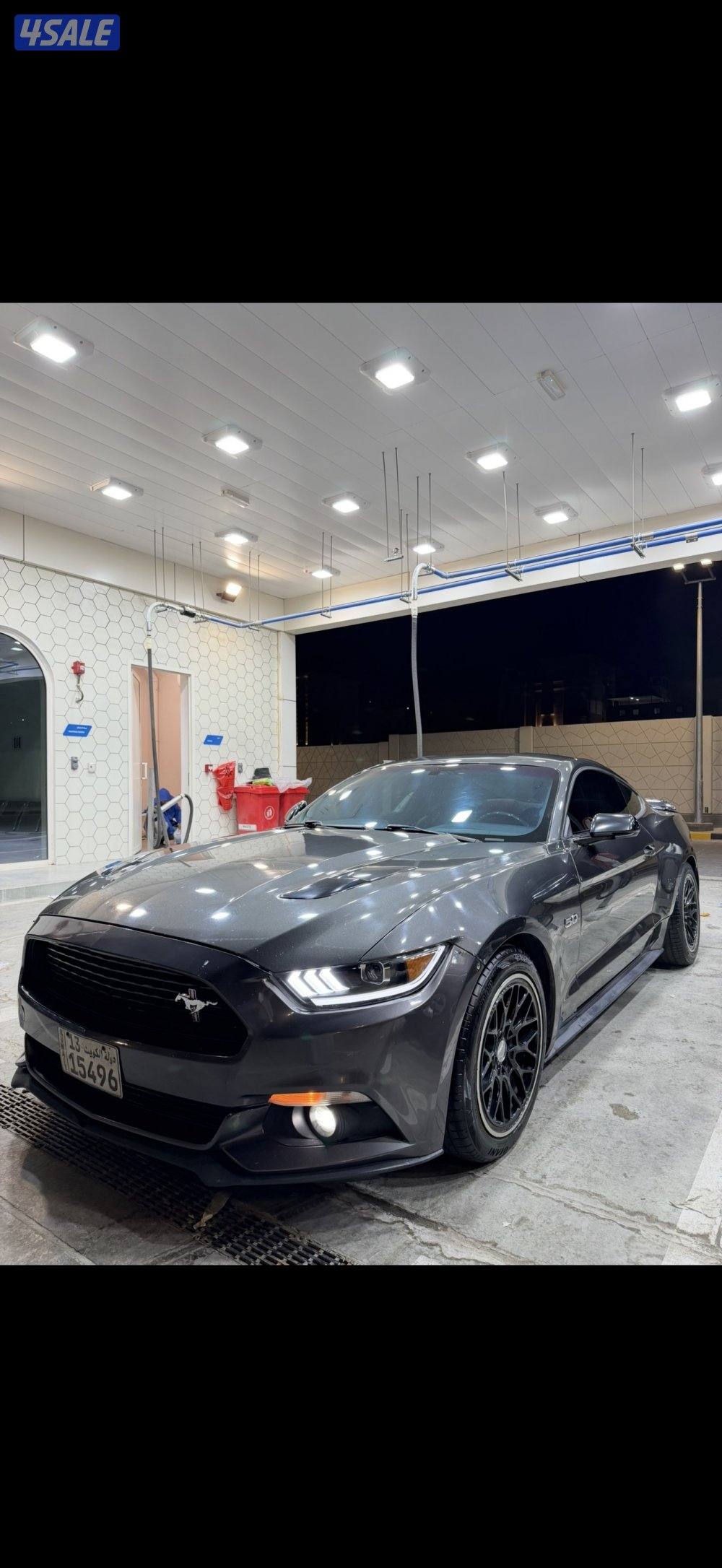 موستنق 2015 / 5.03