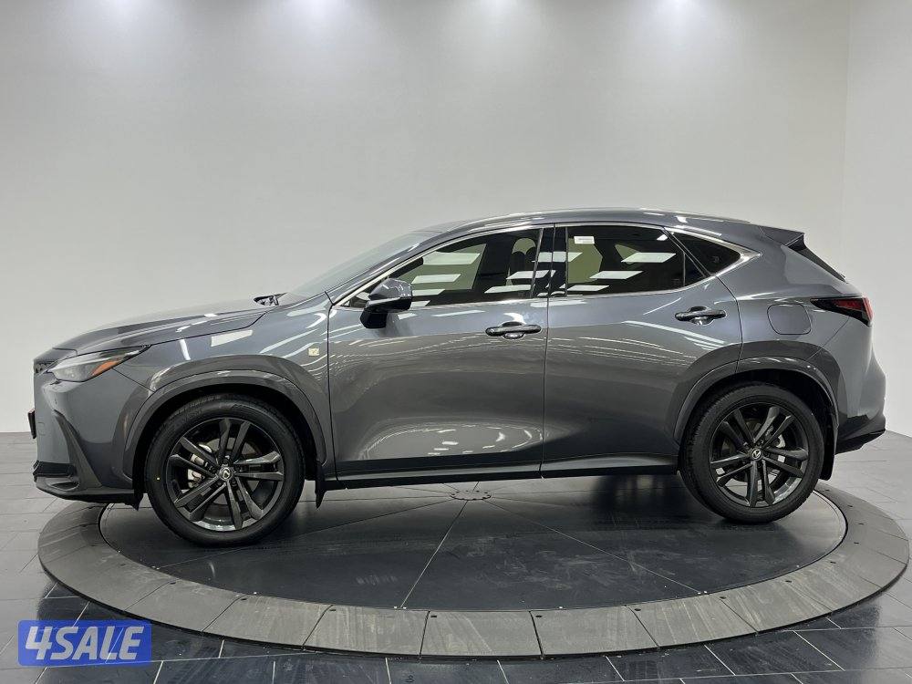 LEXUS NX350H Lexus NX350H 20242