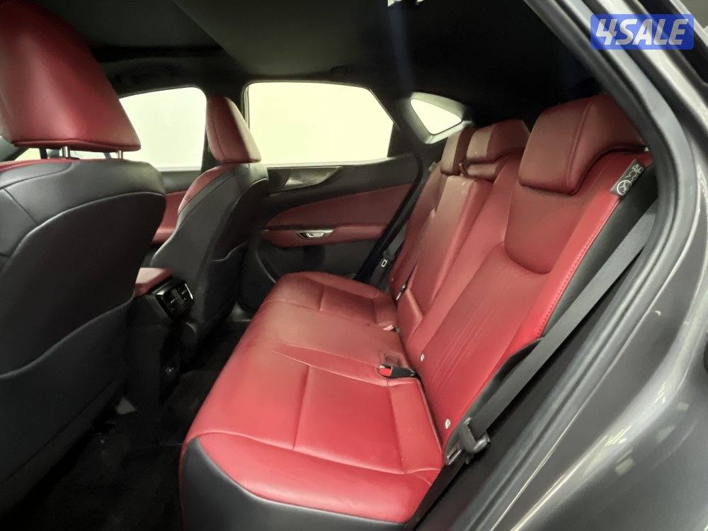 LEXUS NX350H Lexus NX350H 20243