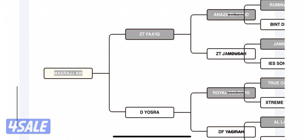 للبيع حصان مصري شيخ4