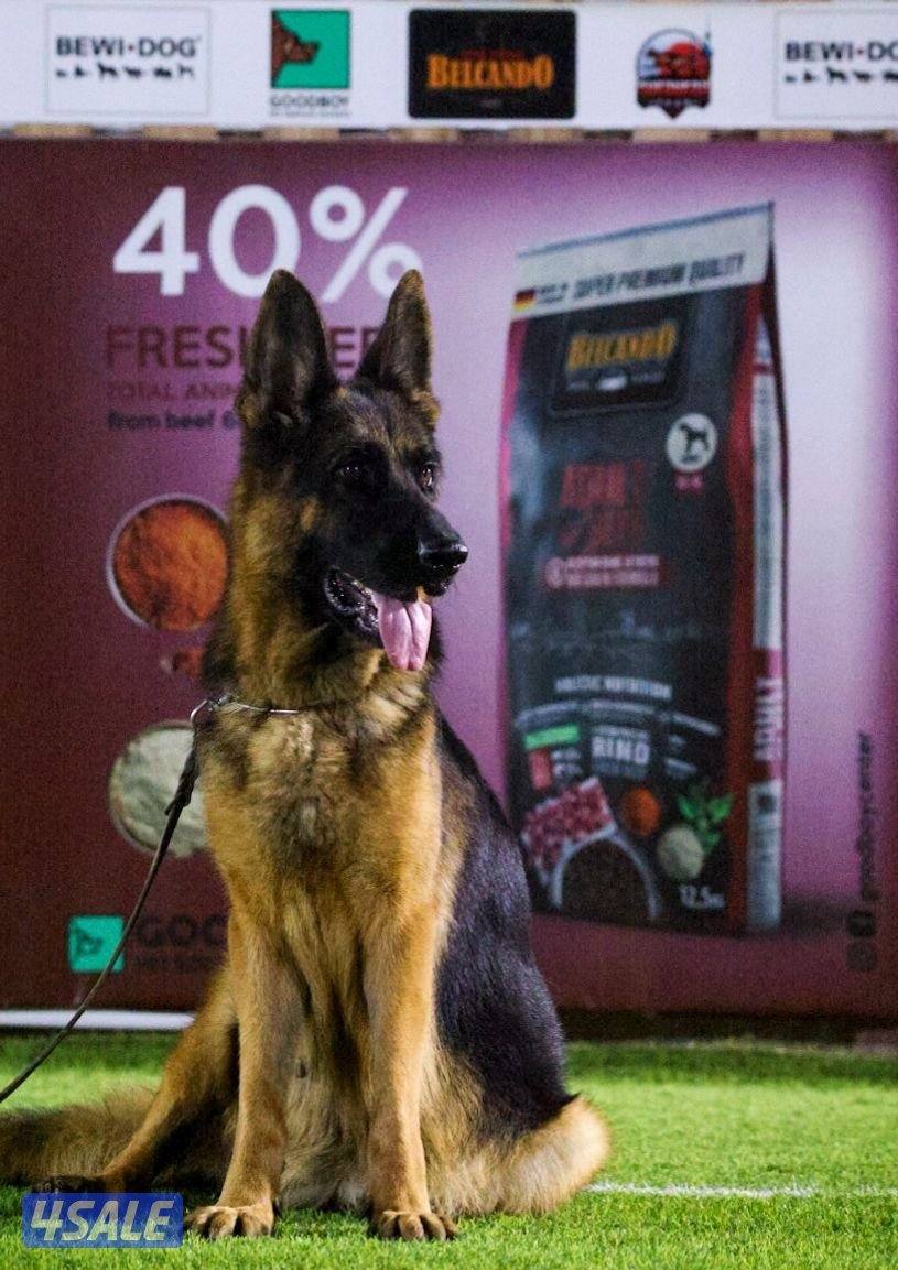 نثيه مواليد ٢٠٢٢ بطلة صربيا انتجت مره بس3