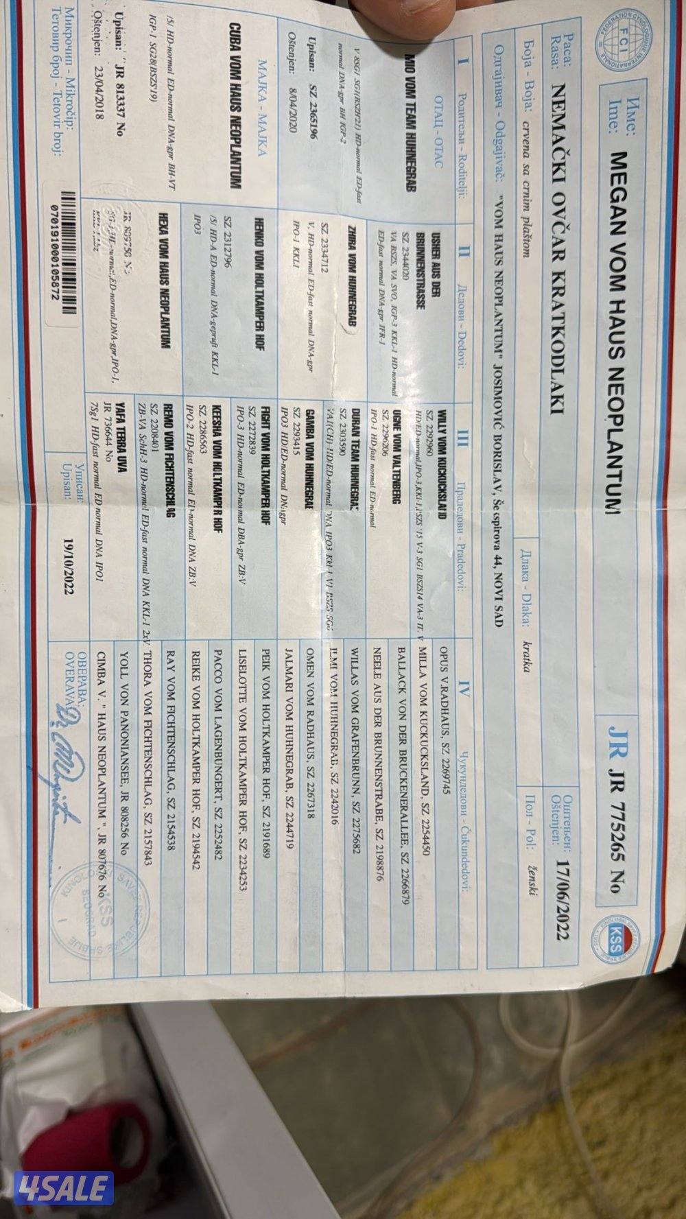 نثيه مواليد ٢٠٢٢ بطلة صربيا انتجت مره بس4