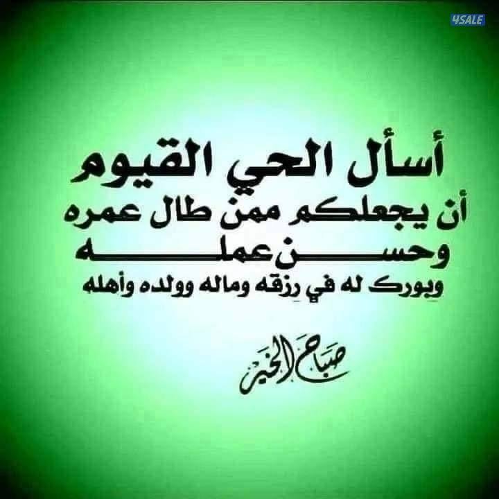 للبيع ارضين فى الفنيطيس شارع وسكه كل واحده سعر مناسب جدا0