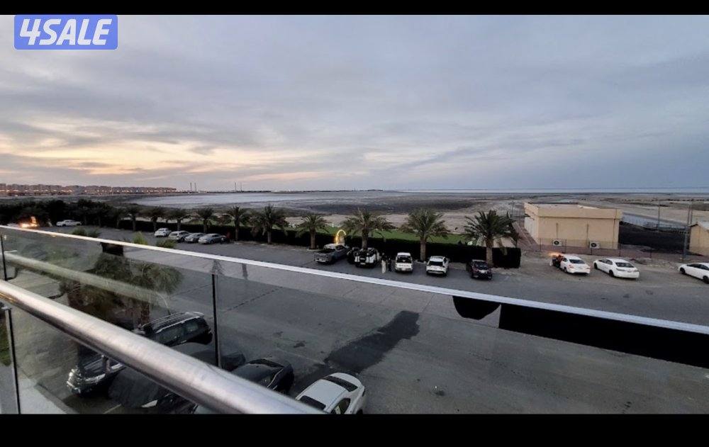 النخلة مول2