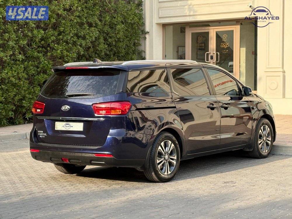 كرنفال 2019 عداد 200 ألف صبغ الوكالة4