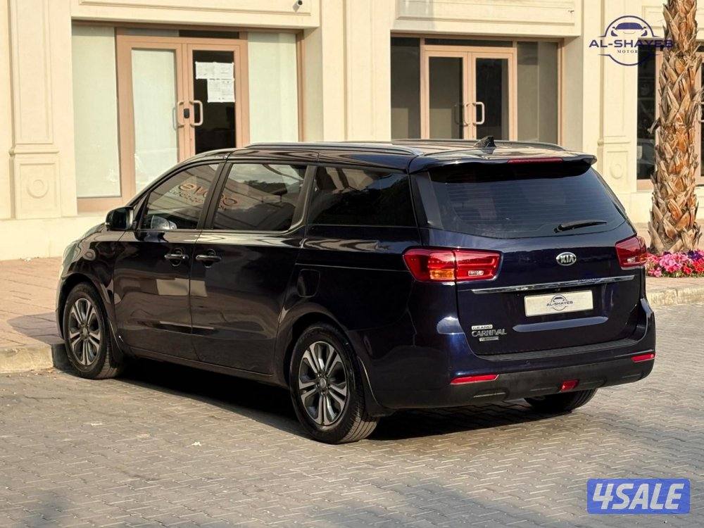 كرنفال 2019 عداد 200 ألف صبغ الوكالة6