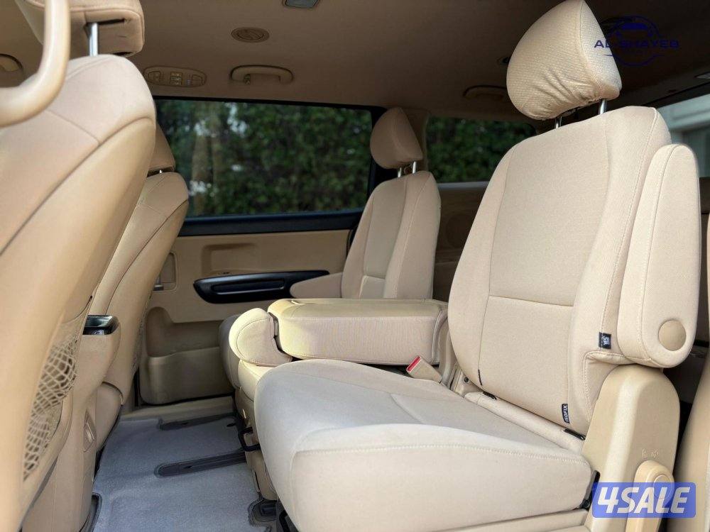 كرنفال 2019 عداد 200 ألف صبغ الوكالة7