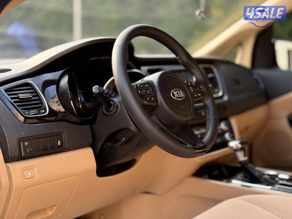 كرنفال 2019 عداد 200 ألف صبغ الوكالة10