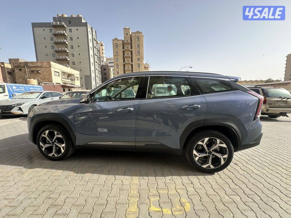 Jelly star ray 20251