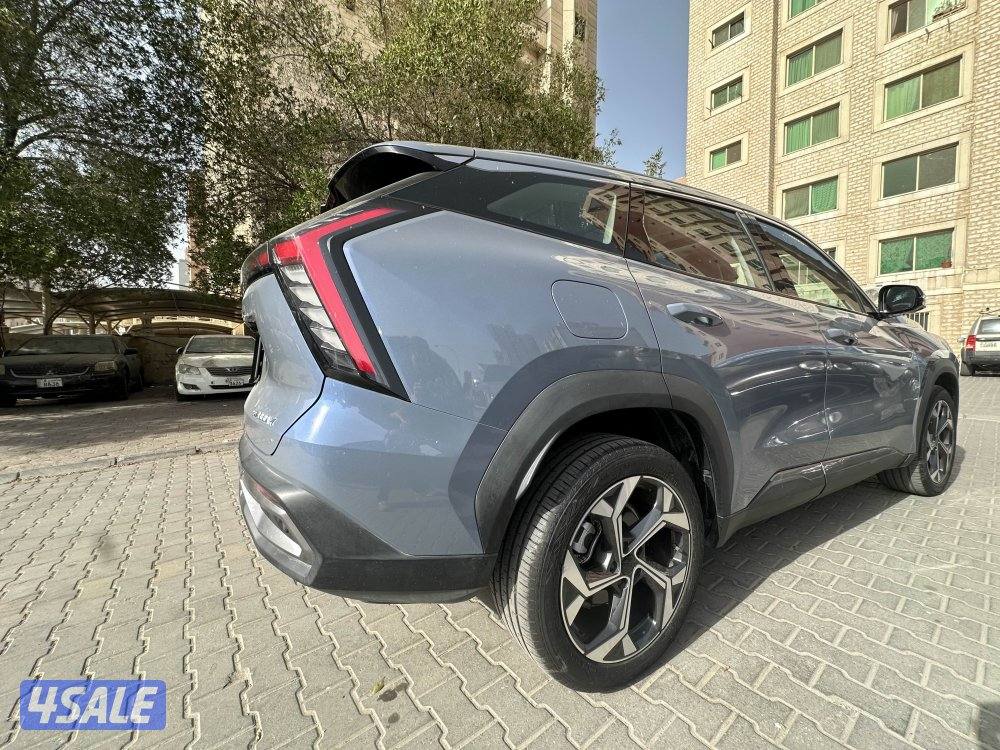 Jelly star ray 20252