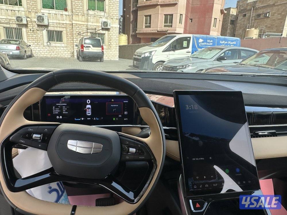 Jelly star ray 20253