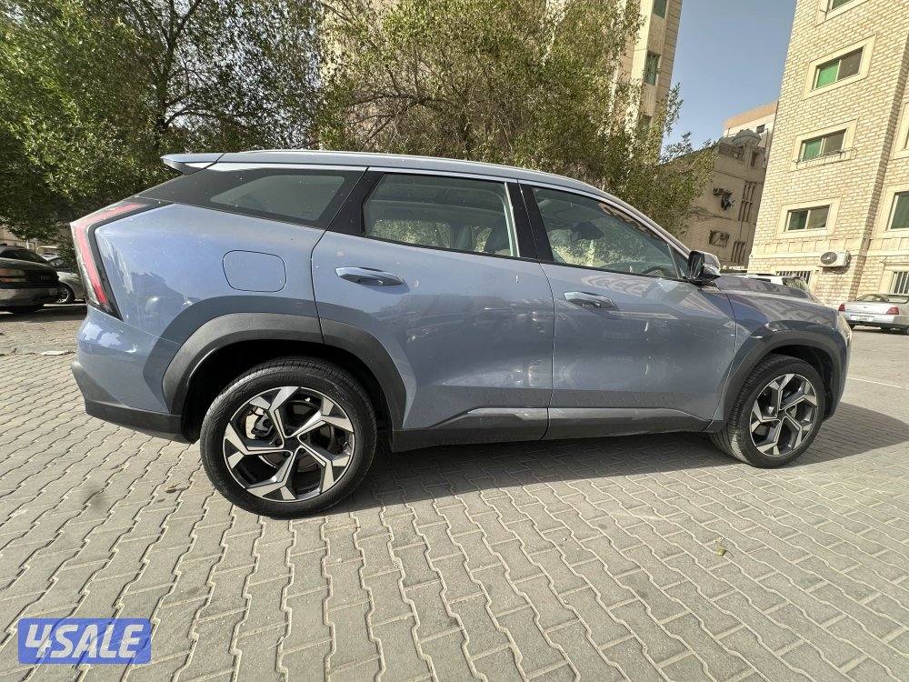 Jelly star ray 20254