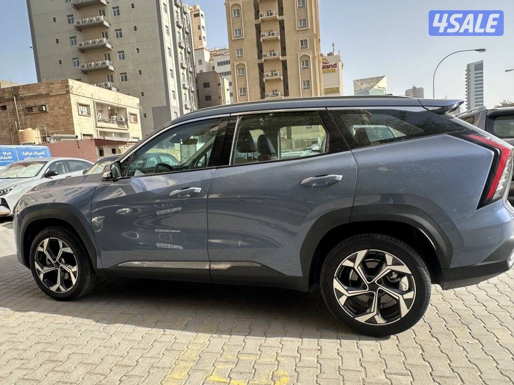 Jelly star ray 20256