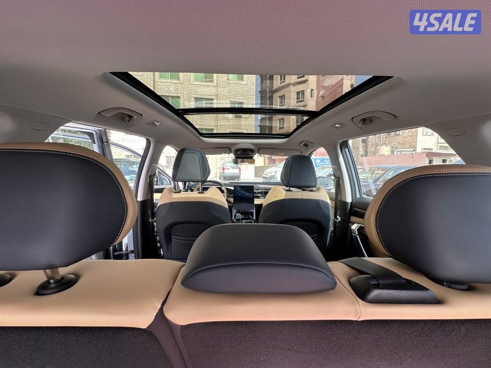 Jelly star ray 20259