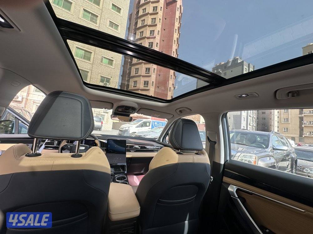 Jelly star ray 202510