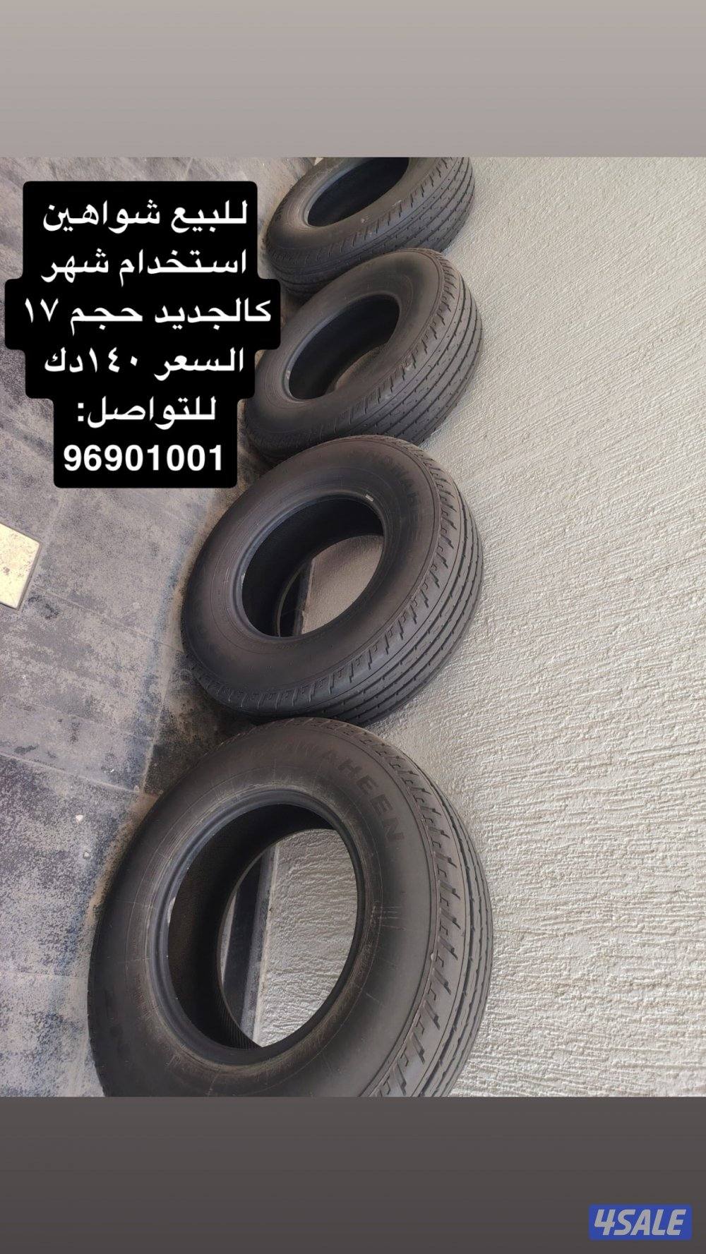 للبيع شواهين0