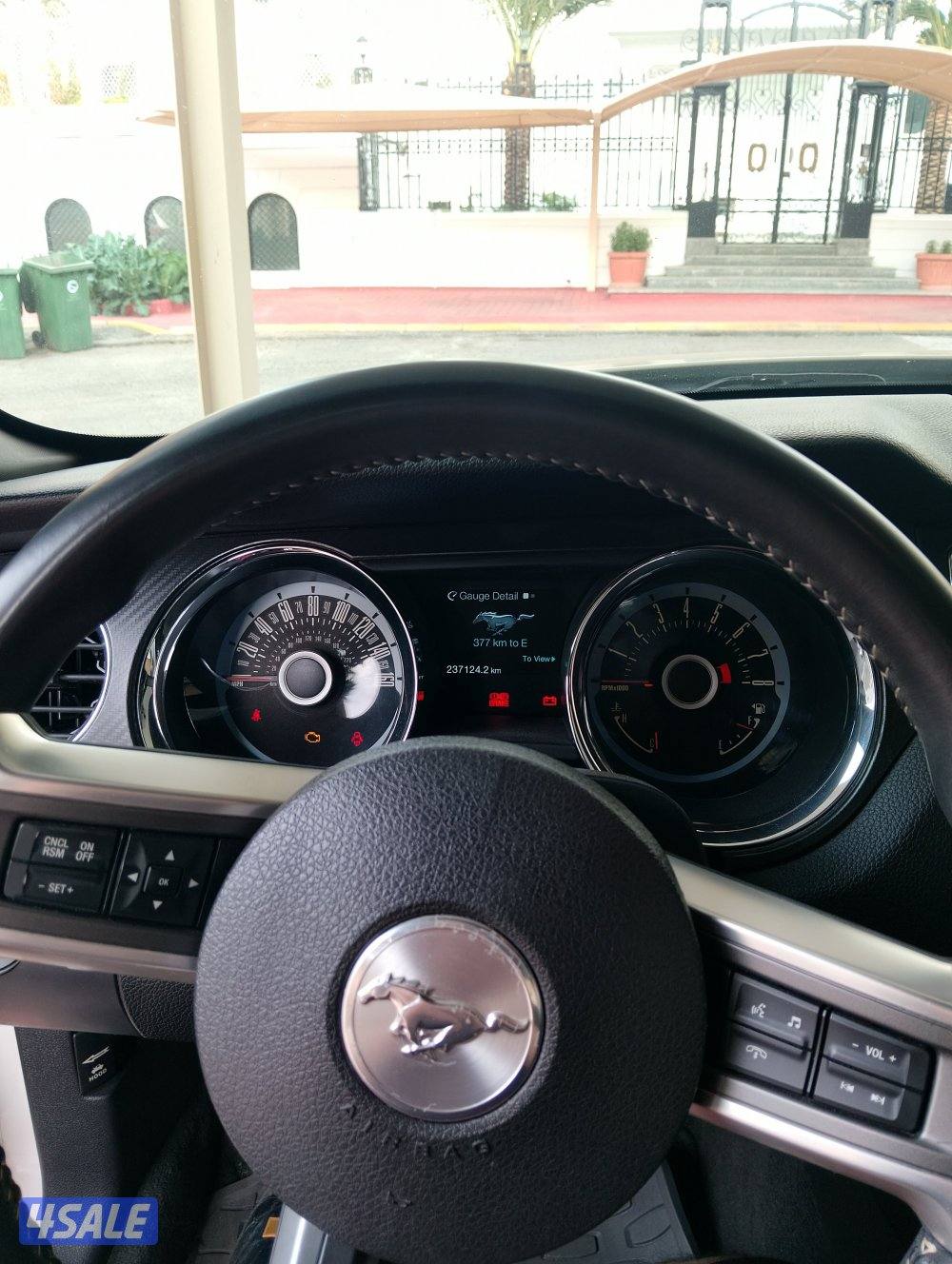 للبيع موستنق كاليفورنيا سبشل Mustang 2013 GT California Special4