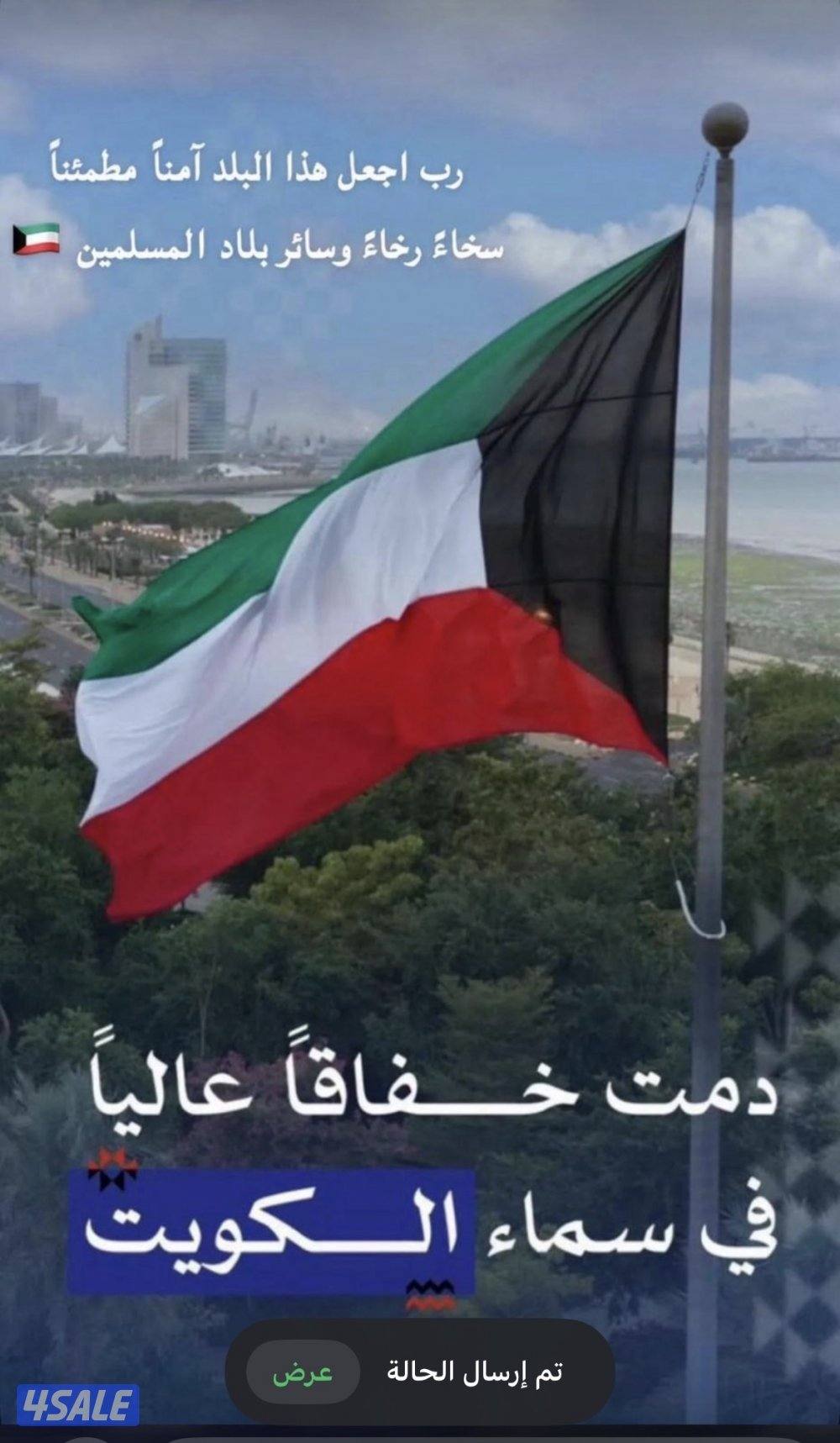 للبيع من الممالك مباشره1