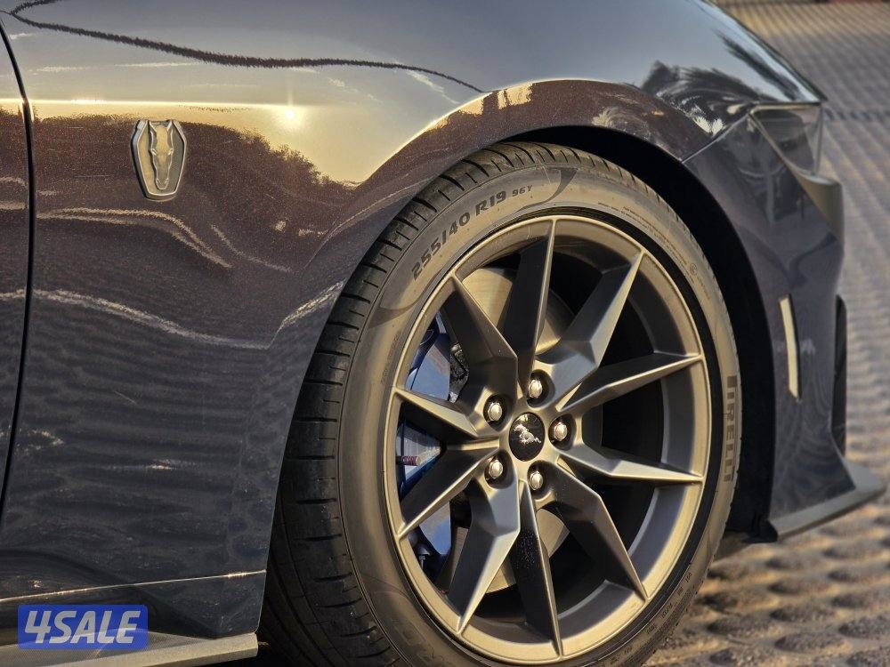 دارك هورس 20257