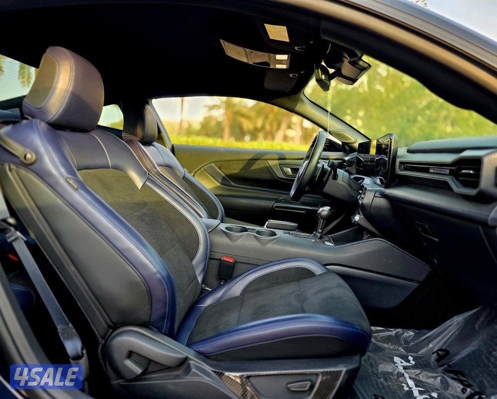 دارك هورس 202510