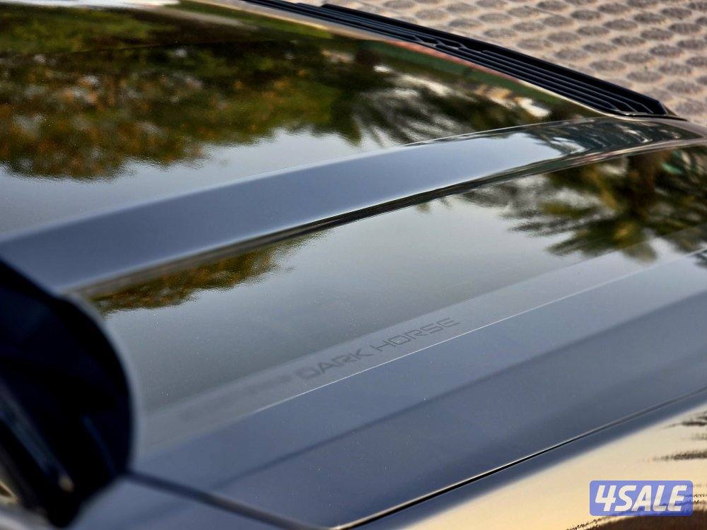 دارك هورس 202512