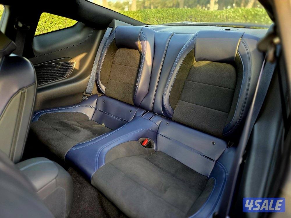 دارك هورس 202511