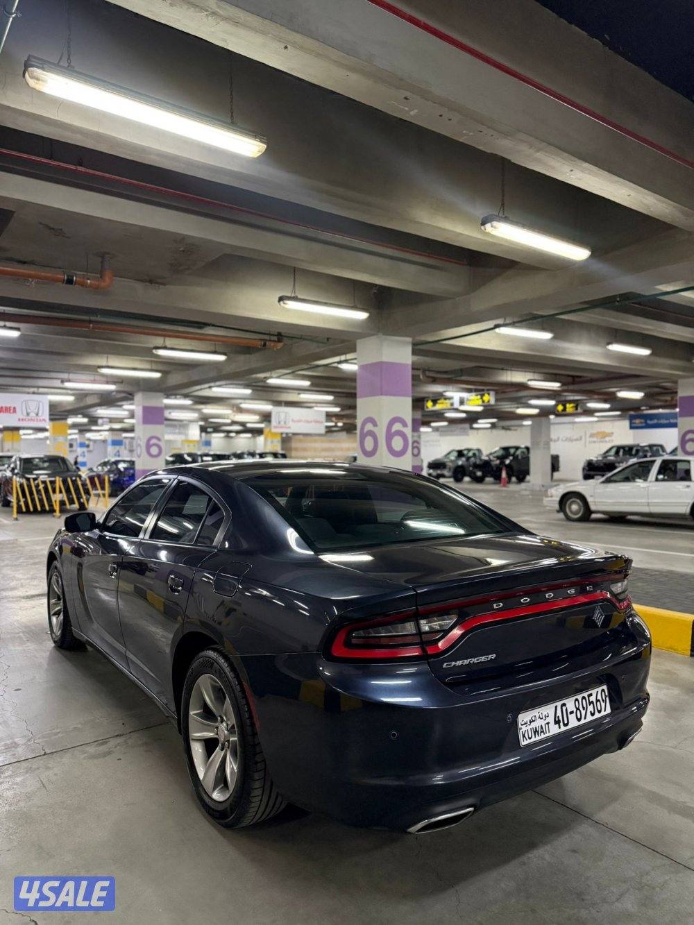 صبغ وكالة 20161