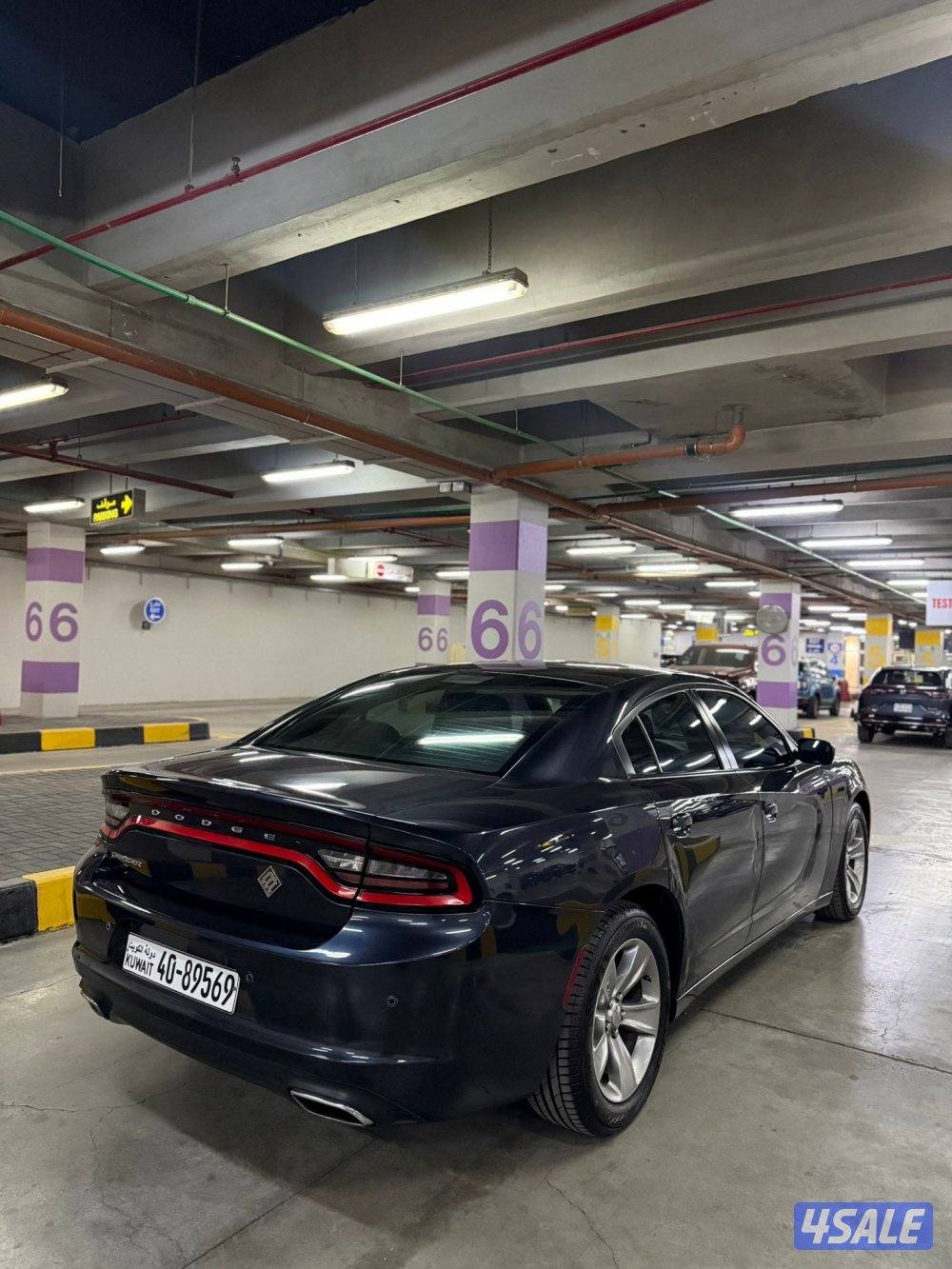 صبغ وكالة 20162