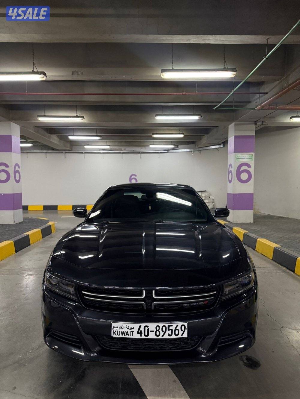 صبغ وكالة 20163