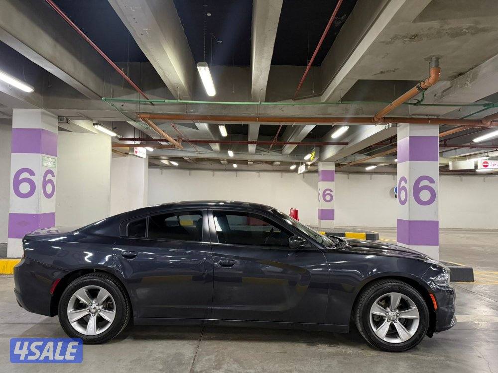 صبغ وكالة 20166