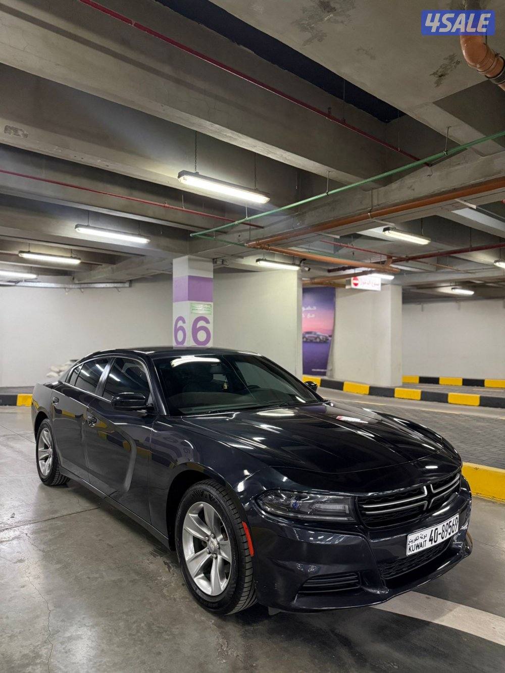 صبغ وكالة 20165