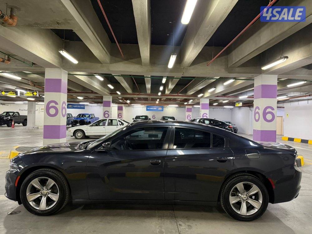 صبغ وكالة 20169