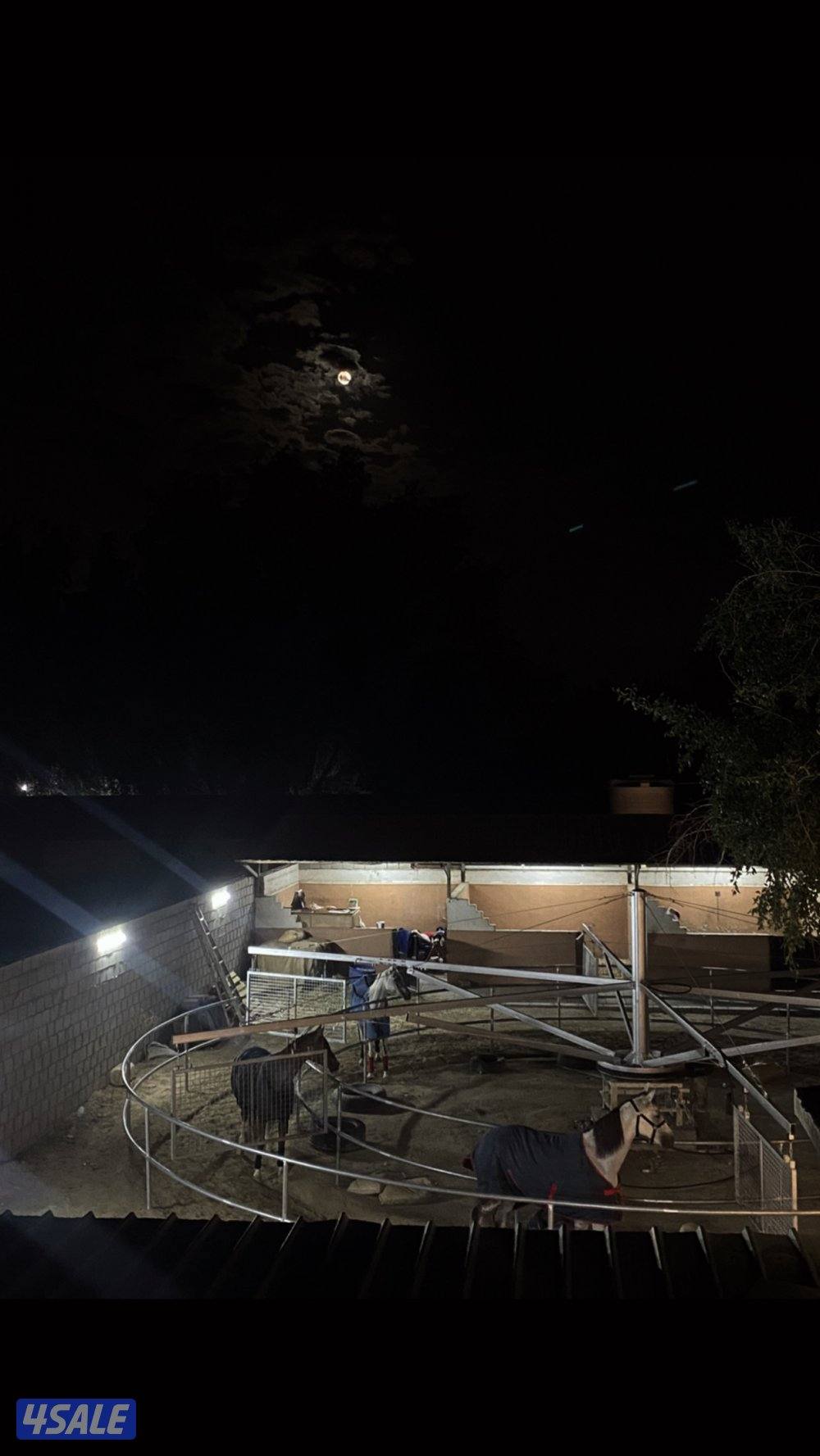 مربط خيل قطعه50