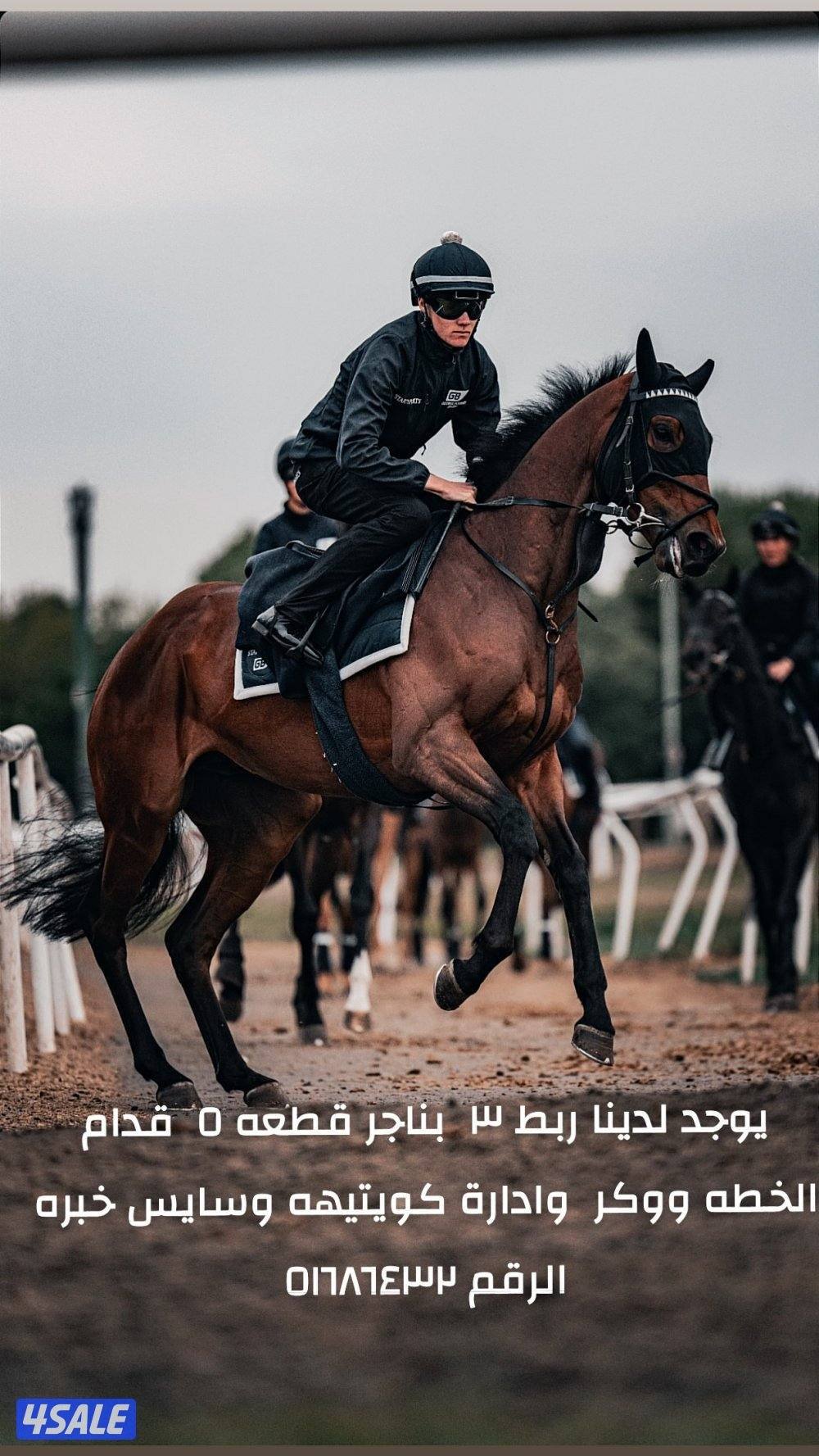 مربط خيل قطعه51