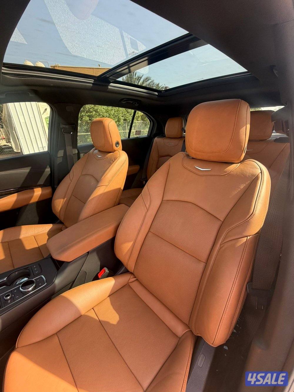 عداد 44 الف صبغ الوكاله10