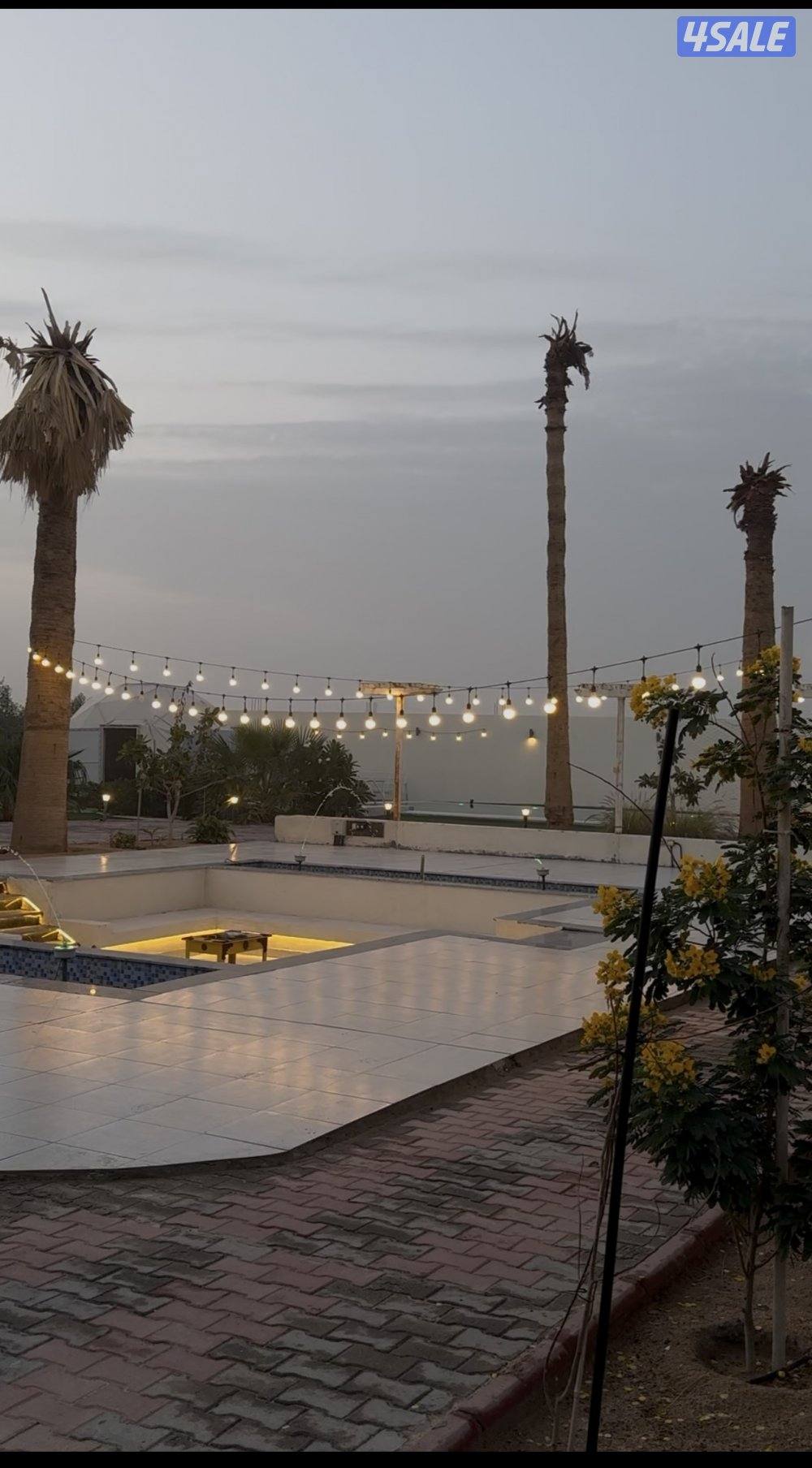 مزرعة كوينز لاند5