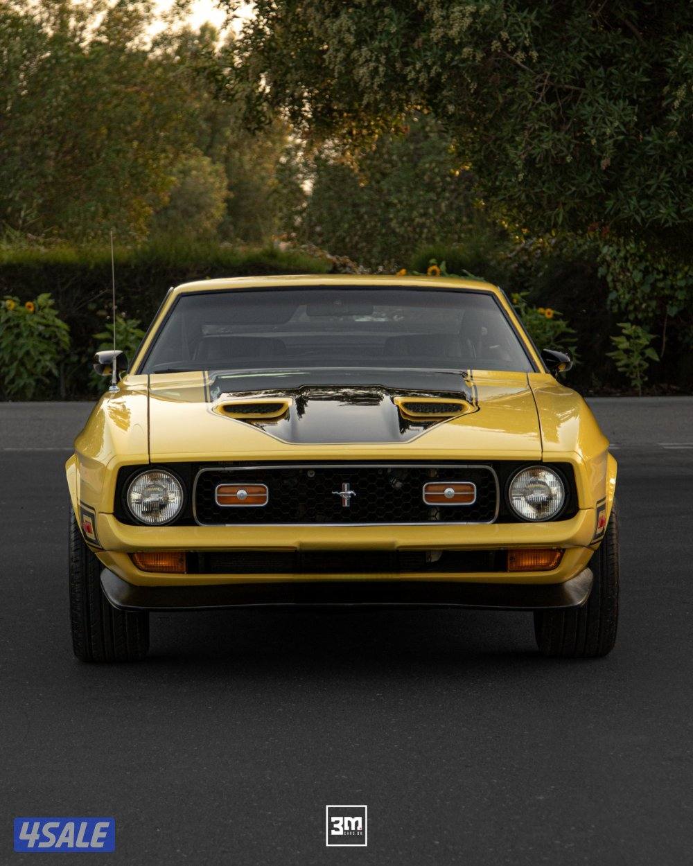 1972 mustang Mach-10