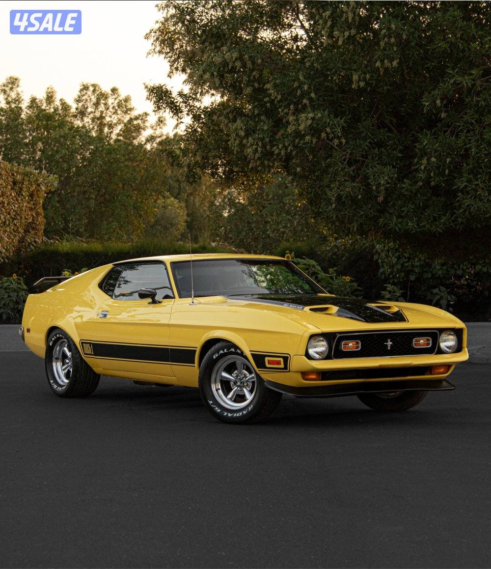 1972 mustang Mach-11