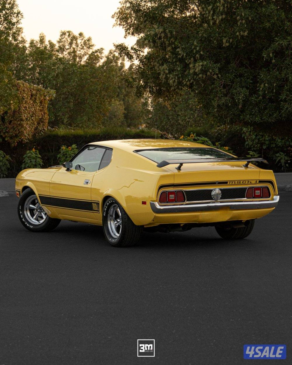 1972 mustang Mach-12