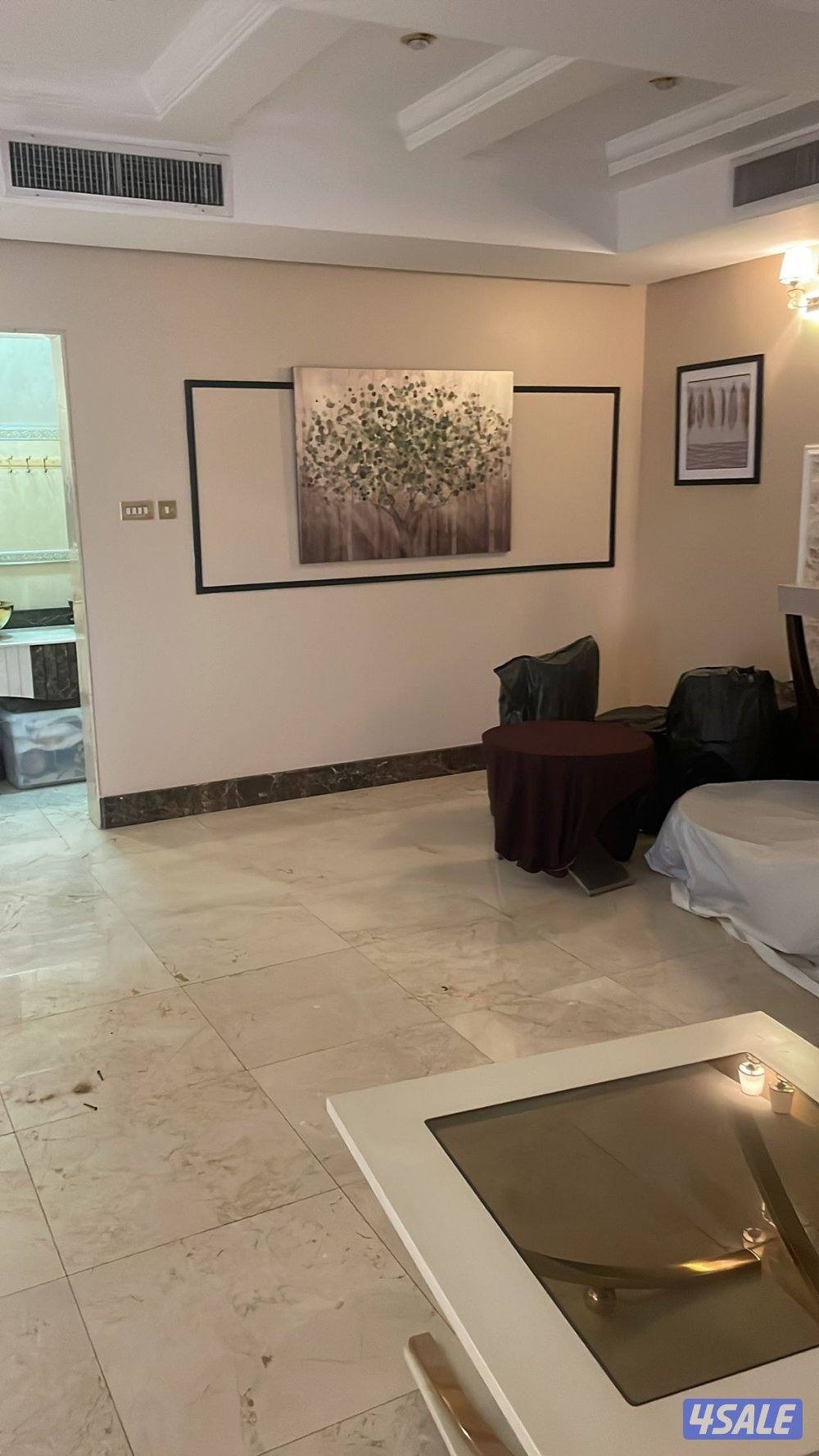 مقاول ترميمات وصبغ ومباني6