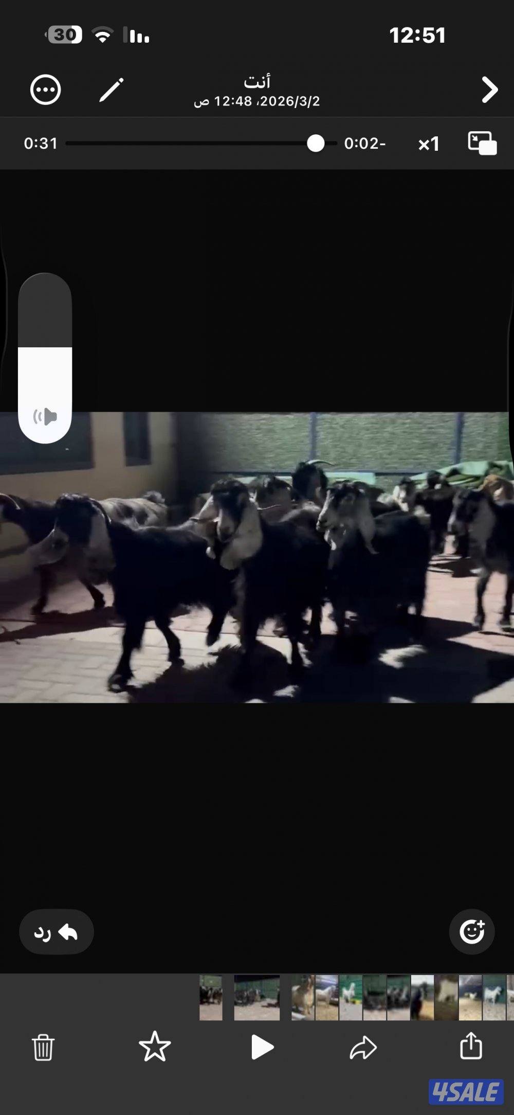 معزا عوارض العداد 13 فيها مطافيل وفيها سونار8