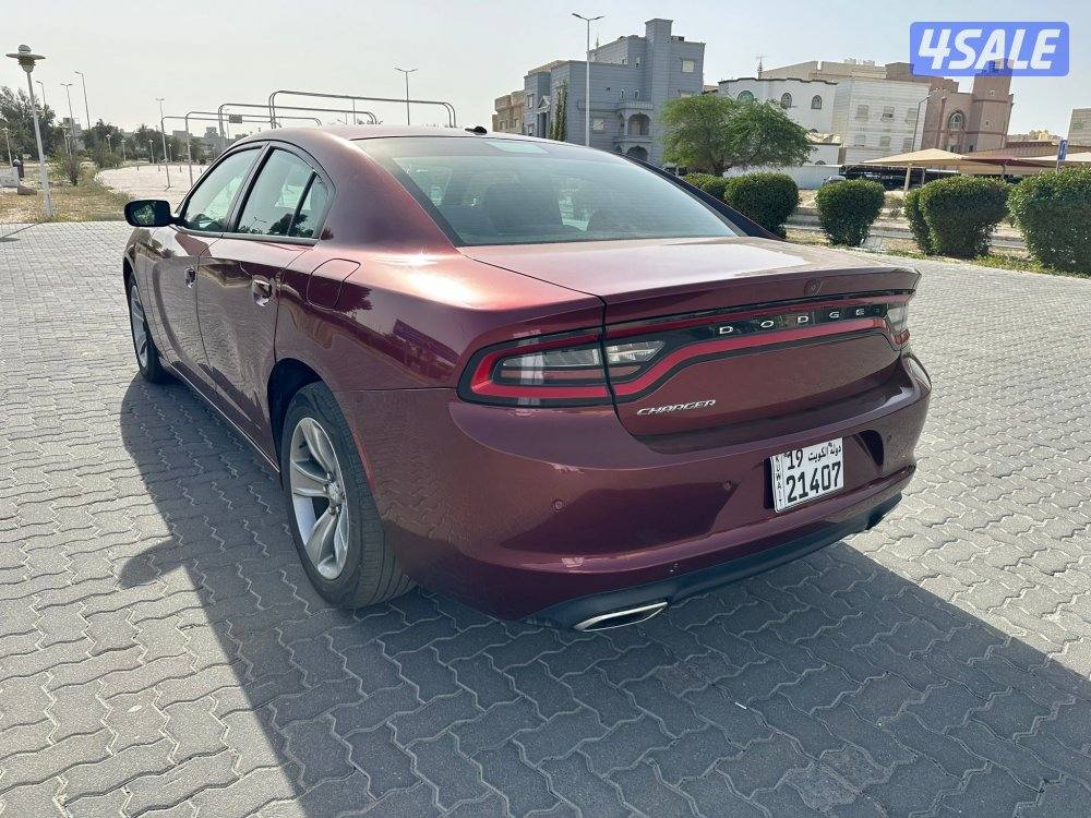 2020 صبغ الوكاله مالك اول2